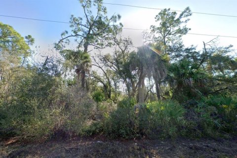 Land in Port Charlotte, Florida № 2162361 - photo 4