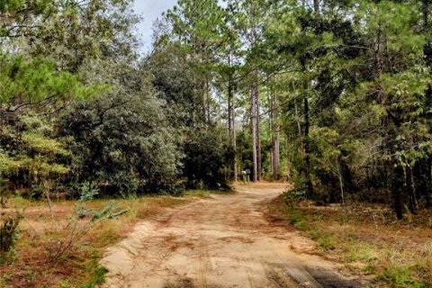 Land in Interlachen, Florida № 2195435 - photo 2