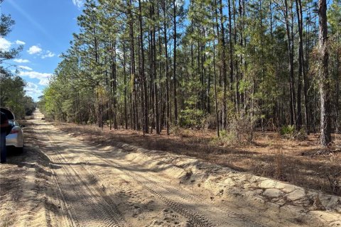 Land in Interlachen, Florida № 2195435 - photo 6