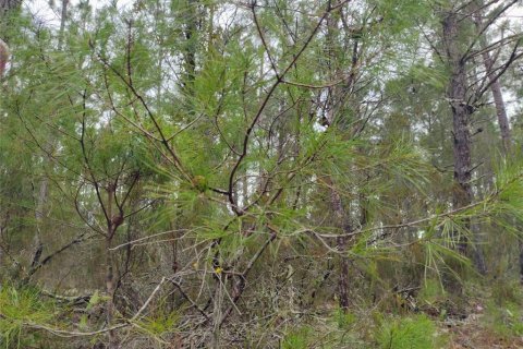 Land in Interlachen, Florida № 2195435