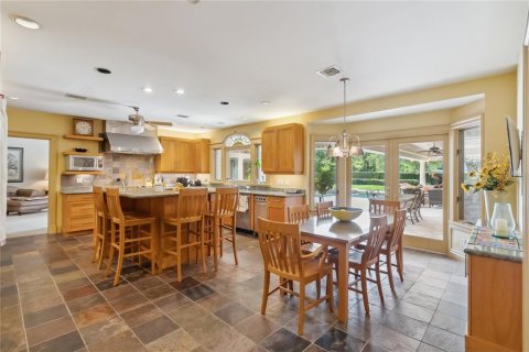 Villa ou maison à vendre à Orlando, Floride: 4 chambres, 393.91 m2 № 1774098 - photo 10