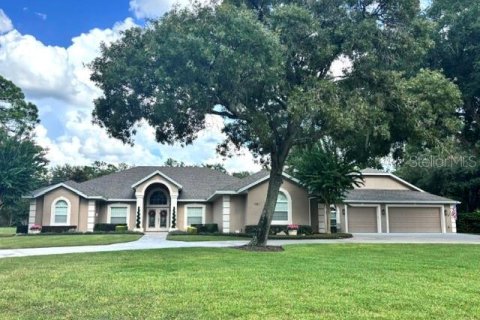 House in DeLand, Florida 6 bedrooms, 400.87 sq.m. № 2317443