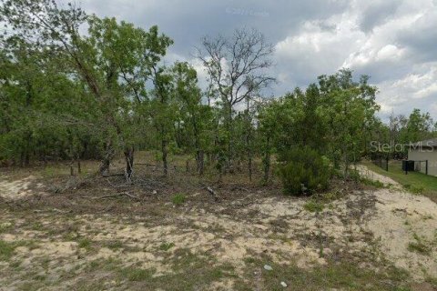 Land in Dunnellon, Florida № 2161143