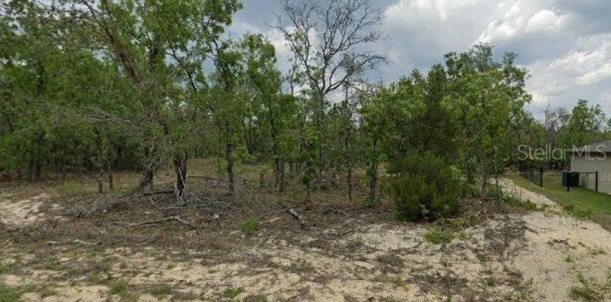 Land in Dunnellon, Florida № 2161143