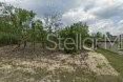 Land in Dunnellon, Florida № 2161143 - photo 2