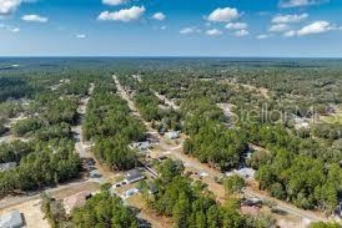 Land in Dunnellon, Florida № 2161143 - photo 4