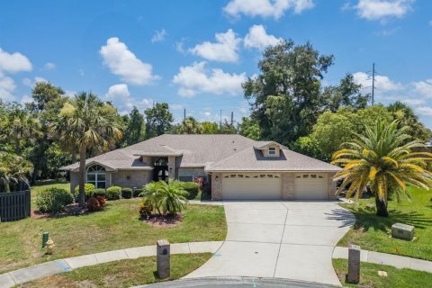 Villa ou maison à Palm Harbor, Floride 4 chambres, 241.55 m2 № 2150345