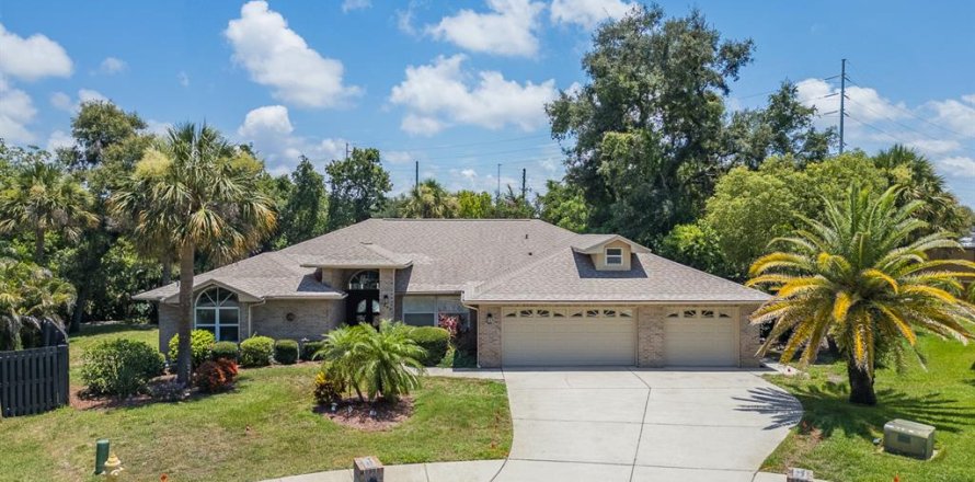 Villa ou maison à Palm Harbor, Floride 4 chambres, 241.55 m2 № 2150345