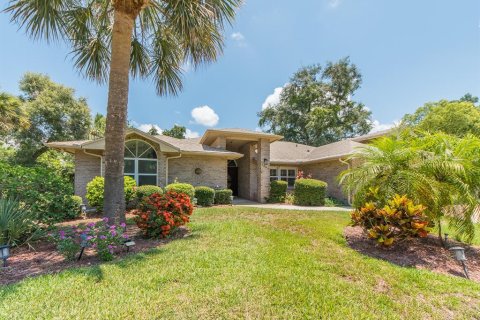 Villa ou maison à vendre à Palm Harbor, Floride: 4 chambres, 241.55 m2 № 2150345 - photo 3