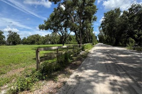 Land in Zephyrhills, Florida № 1791434 - photo 5