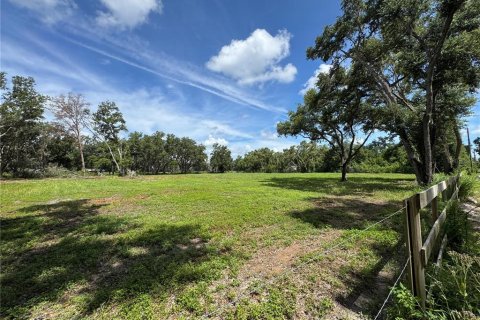 Land in Zephyrhills, Florida № 1791434 - photo 2