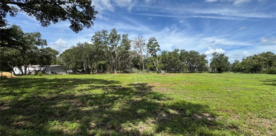 Land in Zephyrhills, Florida № 1791434