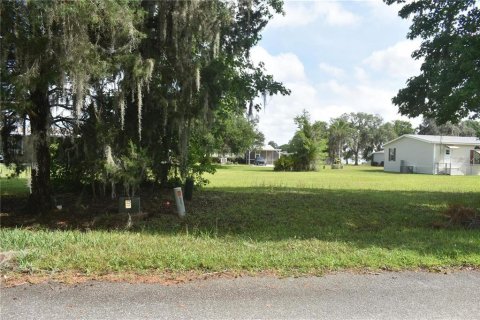 Land in Wildwood, Florida № 2277798