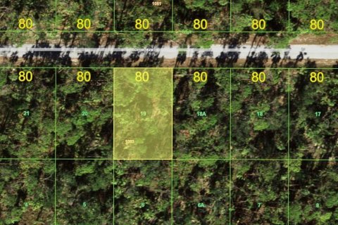 Land in Port Charlotte, Florida № 2161601