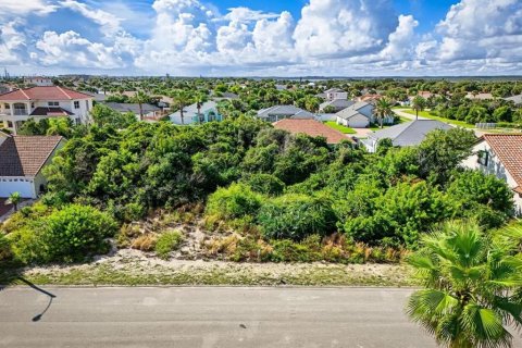 Land in Ormond Beach, Florida № 2396165 - photo 13