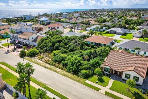 Land in Ormond Beach, Florida № 2396165 - photo 15