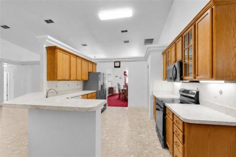 Villa ou maison à vendre à Dunnellon, Floride: 4 chambres, 278.61 m2 № 2156002 - photo 18
