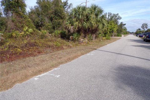 Land in North Port, Florida № 2161136 - photo 3