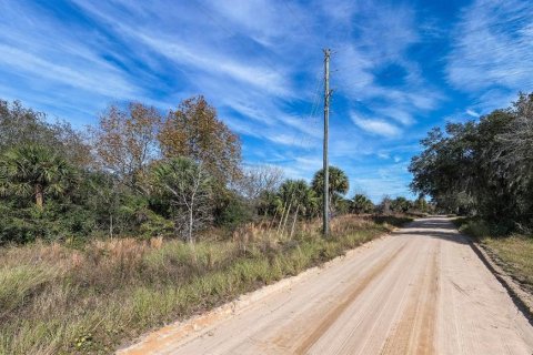 Land in Umatilla, Florida № 1114059 - photo 5