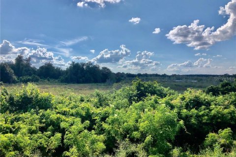 Land in Umatilla, Florida № 1114059 - photo 4