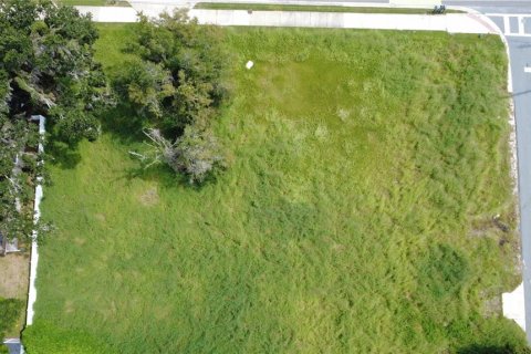 Land in Orlando, Florida № 2393427 - photo 4