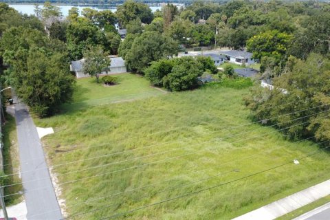 Land in Orlando, Florida № 2393427