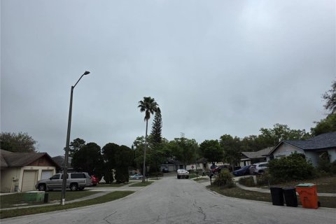 Apartamento en alquiler en Palm Harbor, Florida, 2 dormitorios, 99.31 m2 № 2106087 - foto 21