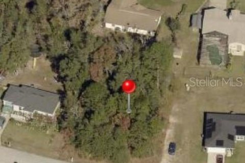 Land in Ocala, Florida № 2163695 - photo 4