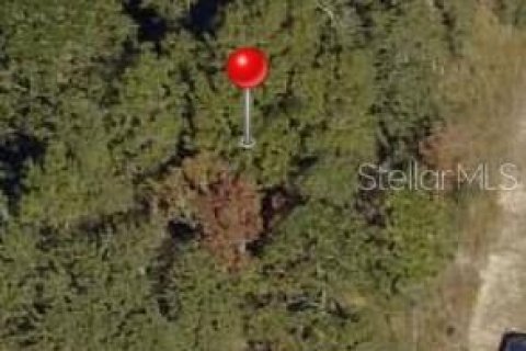 Land in Ocala, Florida № 2163695