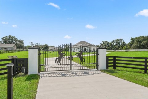 Villa ou maison à vendre à Ocala, Floride: 4 chambres, 297.66 m2 № 2281359 - photo 3