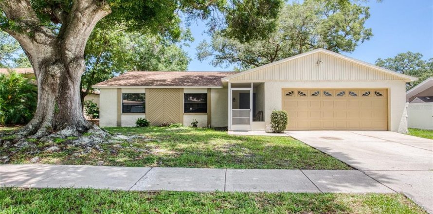 House in Safety Harbor, Florida 3 bedrooms, 141.77 sq.m. № 1839081