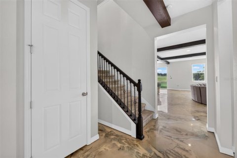 Villa ou maison à vendre à Apopka, Floride: 5 chambres, 450.58 m2 № 2329892 - photo 5