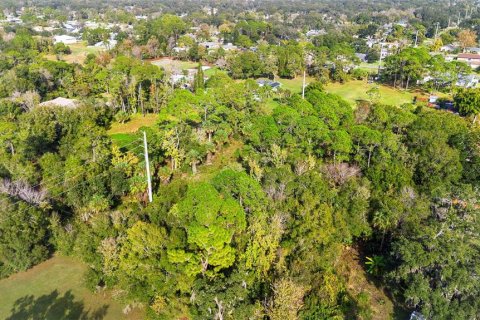 Land in Edgewater, Florida № 2104094 - photo 8