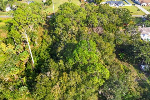 Land in Edgewater, Florida № 2104094 - photo 9