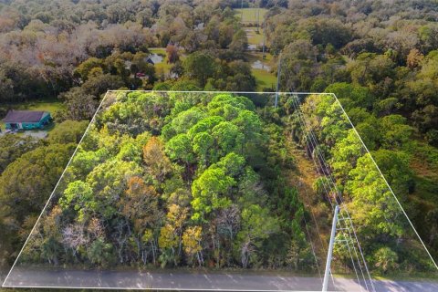Land in Edgewater, Florida № 2104094 - photo 2
