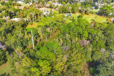 Land in Edgewater, Florida № 2104094 - photo 4