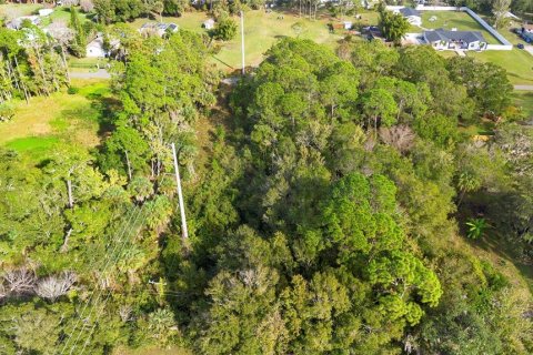 Land in Edgewater, Florida № 2104094 - photo 13