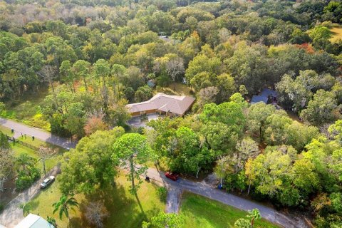 Land in Edgewater, Florida № 2104094 - photo 7