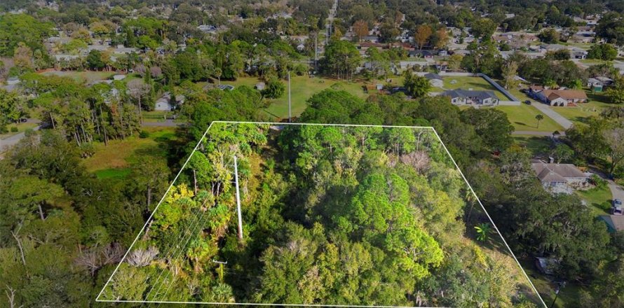 Land in Edgewater, Florida № 2104094
