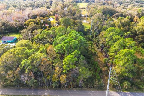 Land in Edgewater, Florida № 2104094 - photo 14