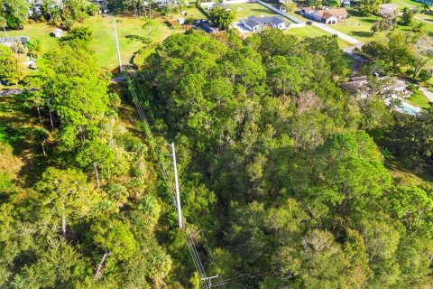 Land in Edgewater, Florida № 2104094 - photo 10