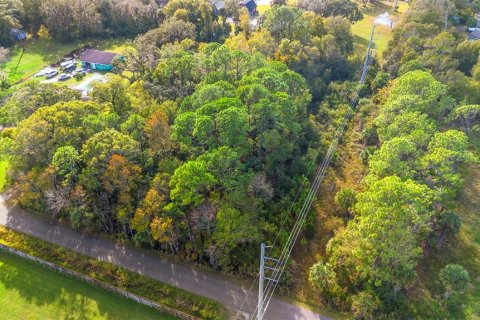 Land in Edgewater, Florida № 2104094 - photo 15