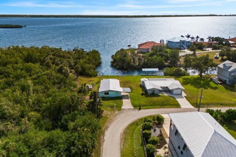 Land in Punta Gorda, Florida № 1554197 - photo 11