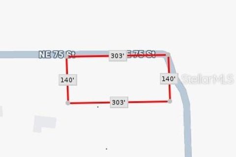 Land in Williston, Florida № 2104965 - photo 2