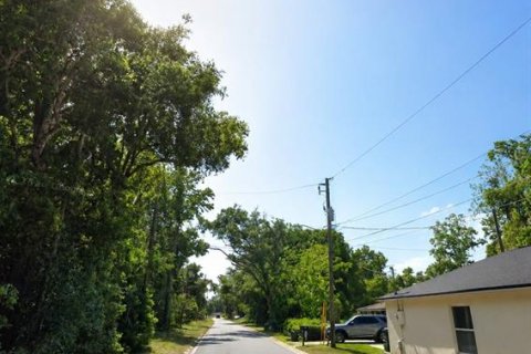 Land in Sanford, Florida № 2259497 - photo 2