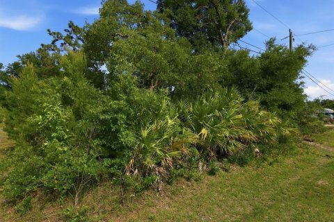 Land in DeLand, Florida № 2159144 - photo 5