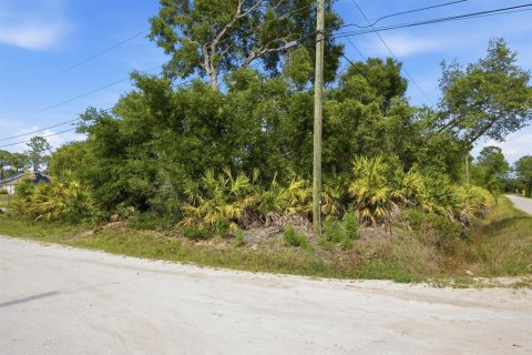 Land in DeLand, Florida № 2159144 - photo 6
