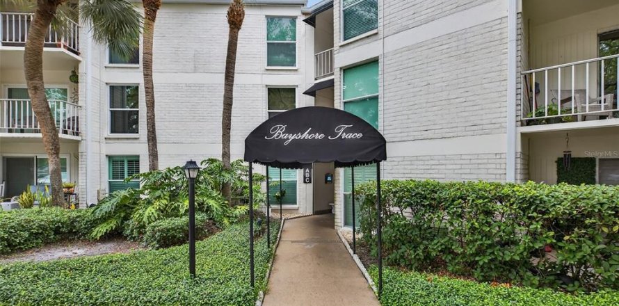 Condo à Tampa, Floride, 1 chambre  № 1796714