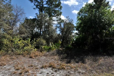 Land in North Port, Florida № 2162756
