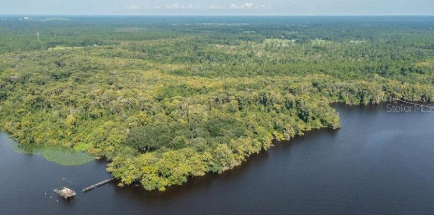 Terrain à Palatka, Floride № 2099032